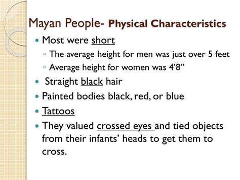 Height Matters: Exploring Maya's Physical Attributes