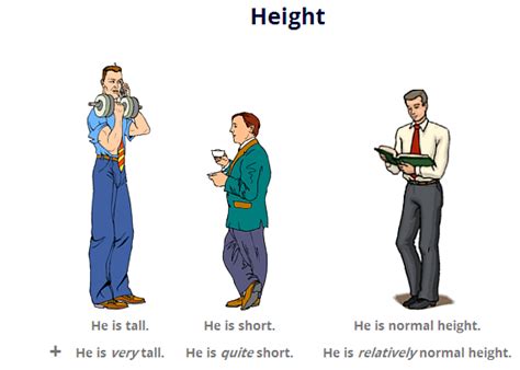 Height and Figure: The Enchanting Physical Attributes of a Captivating Individual