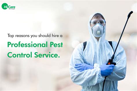 Hiring Professional Pest Eradication Services