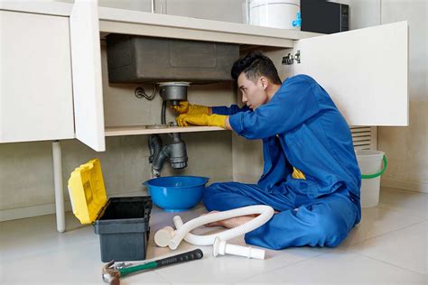 Hiring a Professional Plumber for Sewage Repairs