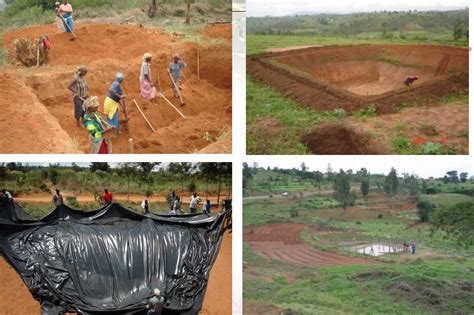 Hope Blooms: The Concept of Rainwater Harvesting in Arid Regions