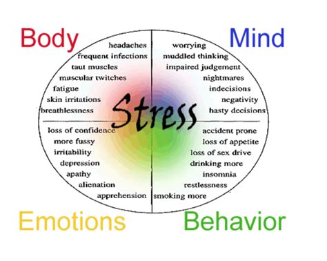 Identifying stress factors in your child's life through interpretation of dreams