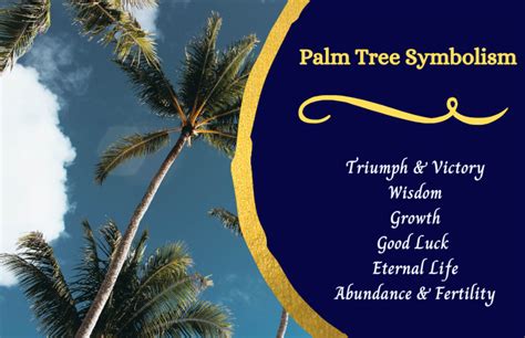 Immersing in the Culture of Palms: Exploring their Significance and Symbolism