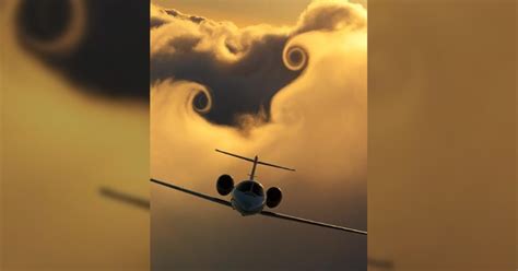 Immersing into the Majestic Dance of Marine Vortices