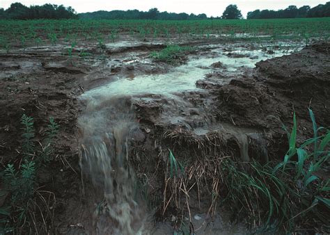 Impact of Conversion of Rainfall into Mud on Agricultural Practices