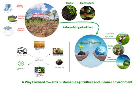 Impact of Crimson Earth on Local Agriculture and Farming