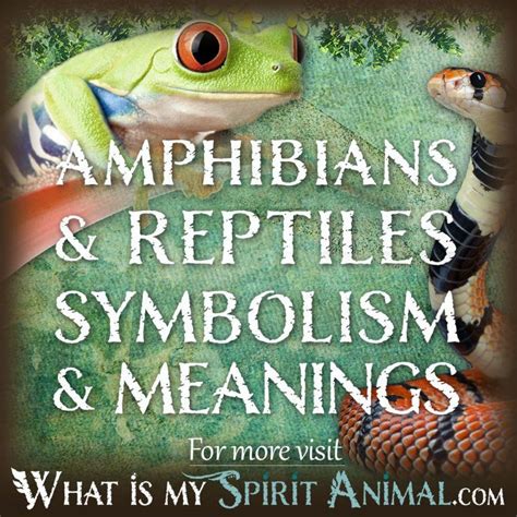 Impact of Dream Settings and Scenarios on the Symbolic Meaning of Reptiles