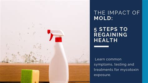 Impacts of Mold on Health and Well-being