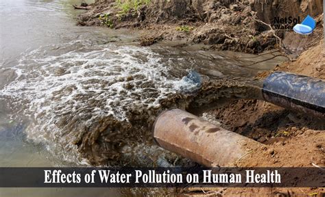 Impacts of Sewage Pollution on Public Health