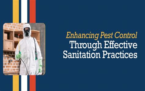 Implementing Effective Sanitation Practices