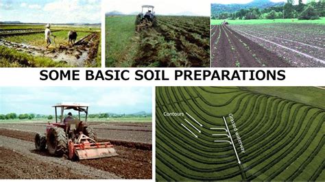 Implementing Effective Soil Preparation Techniques