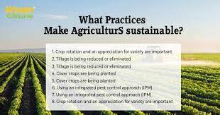 Implementing Sustainable Farming Practices for Long-Term Success