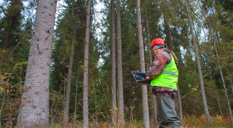 Implementing Sustainable Forestry Practices