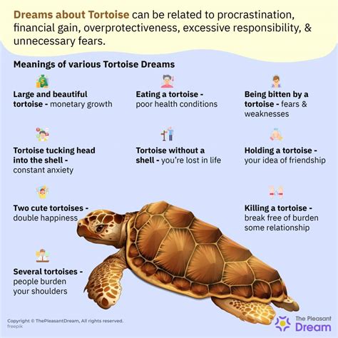 Implications and Personal Reflections: The Impact of Dreaming about Tortoise Number on Your Life