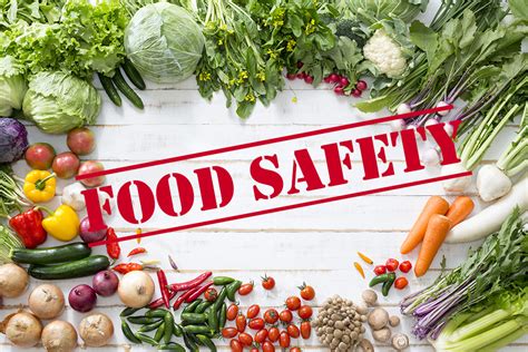 Implications for Public Health and Food Safety Regulations