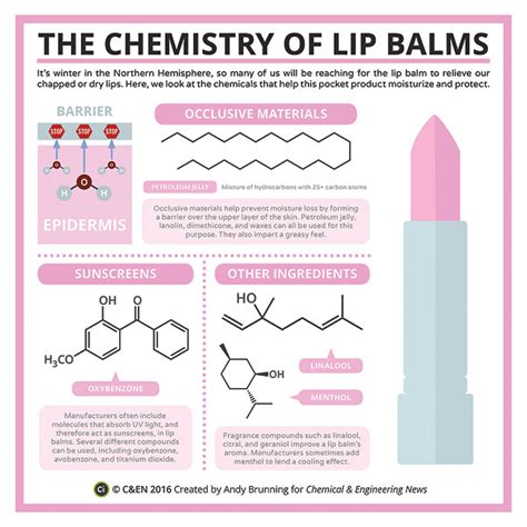 Important Ingredients to Look for in Lip Balms and Lip Products