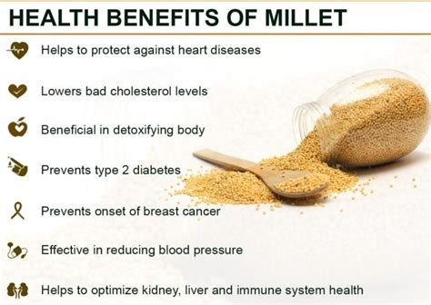 Improving Digestion and Gut Health with the Mighty Millet