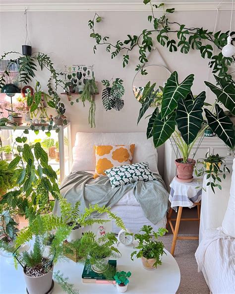 Incorporating Plants and Greenery for a Calm Atmosphere