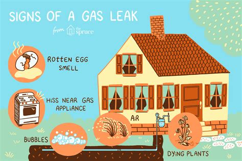 Indications and Manifestations of Gas Leaks