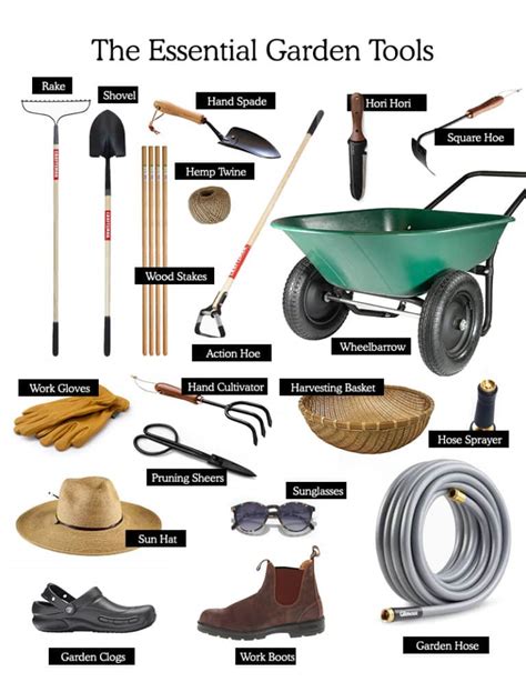 Indispensable Tools and Equipment for Nurturing Beautiful Roses