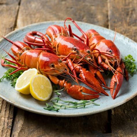 Indulge in the Exquisite Pleasures of Seafood Exploration