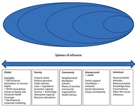 Influence in the Digital Sphere and Contributions to Society