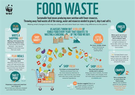 Innovative Solutions for Minimizing Food Loss and Promoting a Sustainable Future