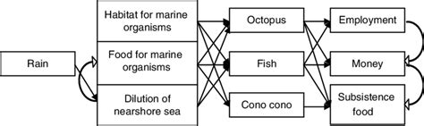 Insights and Techniques for Deciphering and Analyzing Visionary Representations of Gastropod Progeny