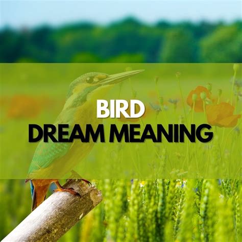 Insights for Deciphering and Implementing Avian Dream Significance