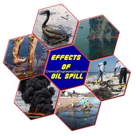 Insights from History: Analyzing the Long-term Consequences of Oil Spills