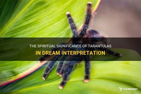 Insights from Psychology: Analyzing the Significance of Nightmares Involving Tarantula Attacks