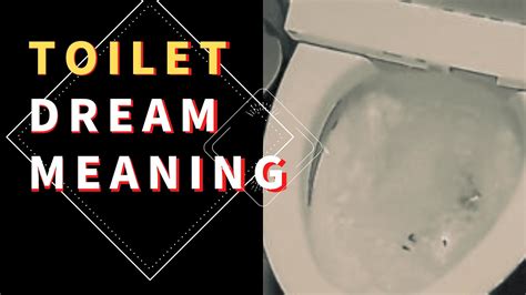 Insights on Decoding and Comprehending Toilet Dreams