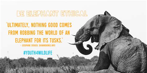 Inspiring Change: Spreading Awareness and Advocacy for Elephant Conservation