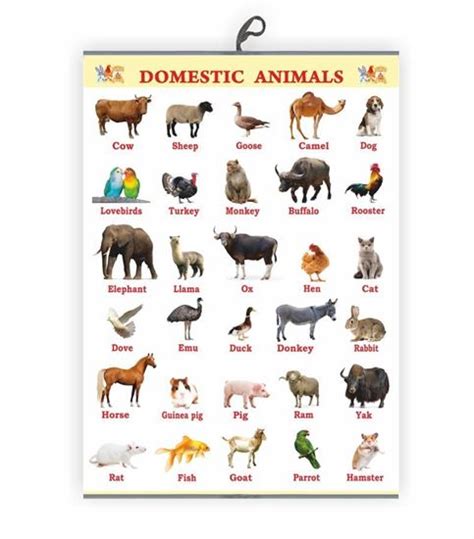 Inspiring Children’s Creativity and Imagination through Fantasizing About Domestic Animals