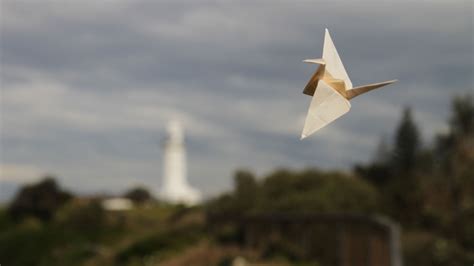 Inspiring Others: Spreading the Joy of Origami Flight