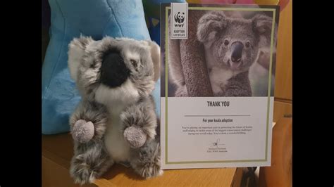 Inspiring Others to Join the Mission: Raising Awareness about Koala Rescue Initiatives