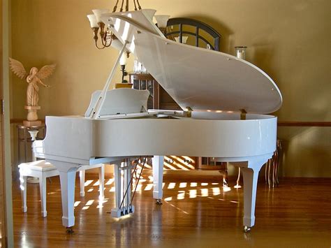 Inspiring Stories of Musicians and their Ivory-Keyed Grand Pianos