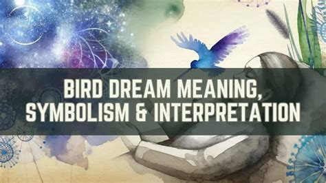 Instinctual Behaviors Reflected in Bird Dream Imagery