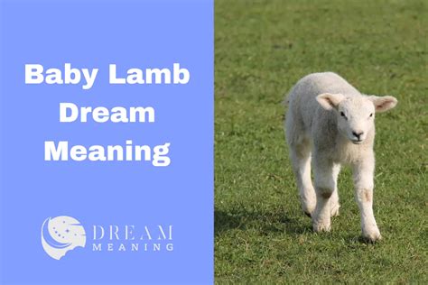 Interpretation: Symbolic Significance of Infant Lamb Imagery in Dreams