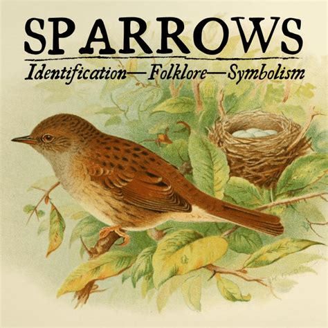 Interpretation and Symbolism in "Dream About Sparrows"