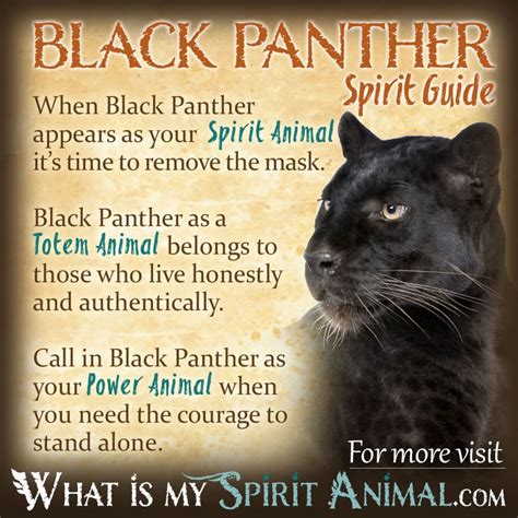 Interpretation of Panther Dream Symbolism in Various Cultures