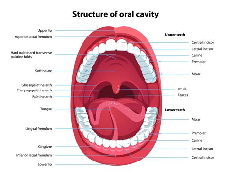 Interpretations of Grit in Oral Cavity across Different Cultures