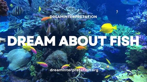 Interpreting Different Colors and Types of Fish in Dreams