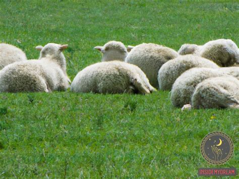 Interpreting Dreams of Expecting Ewes: Potential Significance