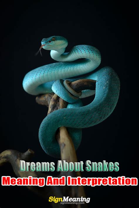 Interpreting Dreams of the Viper Snake as a Premonition or Portent