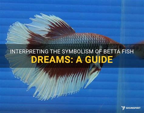 Interpreting Fish Colors and Sizes in Dream Symbolism