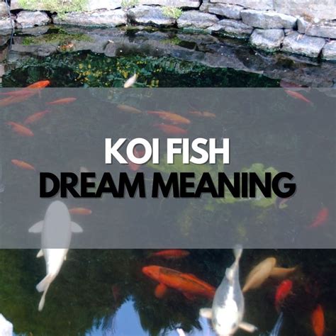 Interpreting Koi Fish in Dreams