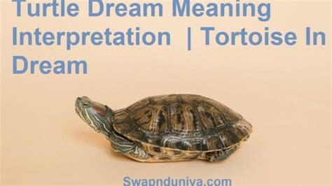 Interpreting Tortoise Dreams in Psychology and Psychoanalysis