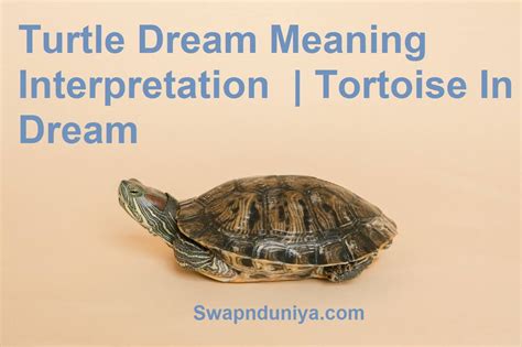 Interpreting and Analyzing Your Blue Turtle Dream