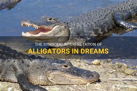 Interpreting the Presence of Multiple Alligators in a Dream